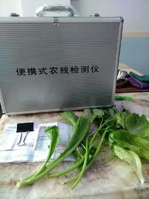 深圳福田工廠蔬菜批發(fā)配送生鮮批發(fā)服務(wù)——高效、新鮮、一站式供應(yīng)